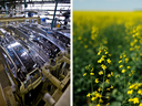 Automotive parts and canola were among Canadian exports' largest gainers.