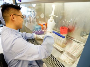 Steven Loo-Yong-Kee, development associate on the BridGE team at CCRM, at work in the lab
