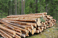 Cdn Lumber