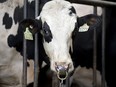 The lobbying from the dairy sector comes at a sensitive time for U.S.-Canada trade relations.
