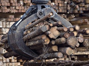 Workers pile logs at a softwood lumber sawmill in Saguenay, Que.