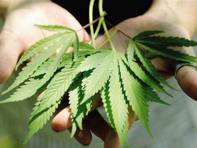 Legalizing marijuana, one of the most anticipated packages of legislation in recent memory, will be unveiled today, promising profound implications on everything from culture to international relations.