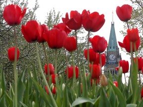 The Trudeau government's spring budget projected a shortfall of $23 billion for the fiscal year.