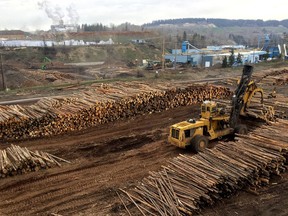 Logs are stacked this week at the West Fraser sawmill in Quesnel, B.C. The Trump administration's new tariffs on Canadian lumber pose a threat to livelihoods in Quesnel, which is so reliant on trade with the United States that it flies a U.S. flag at its visitors center. Must credit: Washington Post photo by Ana Swanson
Ana Swanson, The Washington Post