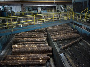 Lumber moves into a Resolute saw mill in Thunder Bay.