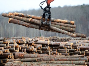 Newfoundland and Labrador, Nova Scotia and Prince Edward Island could be excluded from a U.S. investigation into whether Canada's dumping or subsidizing softwood lumber experts.
