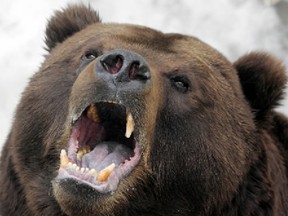 Oil slid further into a bear market Wednesday.