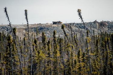 A piece of heavy equipment beyond the thin trees in the James Bay muskeg. The mine has frequent wildlife visitors including cougars, bears and caribou.