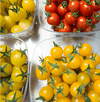 Yellow cherry tomatoes at the Sunset greenhouses of Mastronardi Produce.