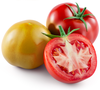 FP701_Tomato_Maple_Leaf_ILLO