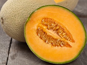 In search of the perfect cantaloupe...