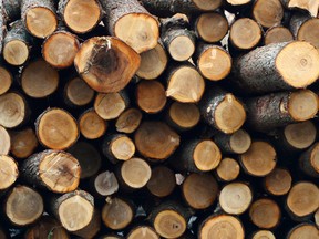 Canada's share of the U.S. softwood lumber market was 27 per cent in May, down from 31 per cent a year earlier, according to monthly Canadian government reports.