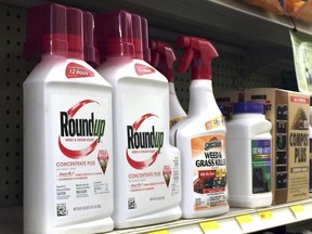 In this Thursday, Jan. 26, 2017, photo, containers of Roundup, left, a weed killer is seen on a shelf with other products for sale at a hardware store in Los Angeles. California regulators are taking a pivotal step toward requiring the popular weed killer Roundup to come with a warning label. The state's Office of Environmental Health Hazard Assessment announced Monday, June 26, 2017, that the weed killer's main ingredient, glyphosate, will be listed in July as a chemical known to cause cancer. (AP Photo/Reed Saxon)