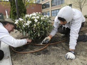 In this April 25, 2017, photo, workers from Faulkner's Landscaping & Nursery install an irrigation system at a project in Manchester, N.H. On Thursday, July 6, 2017, payroll processor ADP reports how many jobs private employers added in June. (AP Photo/Elise Amendola)