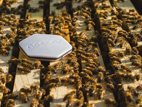 A Nectar sensor reads a hive's detailed data and transmits it to the computer.