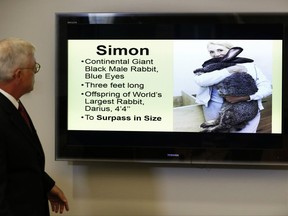 FILE - In this May 8, 2017 file photo, attorney Guy Cook speaks a news conference while looking at a photo of Simon, a giant rabbit that died after flying from the United Kingdom to Chicago, in Des Moines, Iowa. A group of Iowa businessmen have filed a lawsuit against United Airlines over the death of Simon. The businessmen filed the lawsuit Wednesday, July 26, 2017, more than three months after airline workers found the continental rabbit named Simon dead. (AP Photo/Charlie Neibergall)