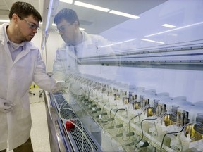 FILE - In this Thursday, Dec.18, 2014, file photograph, scientist Christopher Kistler checks on experiments in AMBR250 bio-reactors in a laboratory at the Merck company facilities in Kenilworth, N.J. Merck & Company, Inc. reports earnings, Friday, July 28, 2017. (AP Photo/Mel Evans, File)