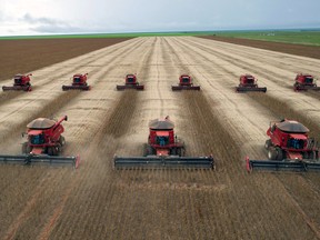 Combine harvesters crop soy in Campo Novo do Parecis, Brazil.