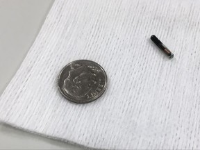 A microchip is shown compared with a dime Tuesday, Aug. 1, 2017, at Three Square Market in River Falls, Wis., where the company is holding a 'chip party' for employees who volunteer to have the microchip embedded in their hand. The company says the microchip will allow workers to open doors, log onto their computers or buy break room snacks by simply waving their hand. (AP Photo/Jeff Baenen)