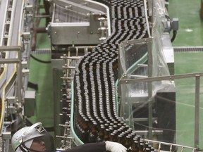 In this Monday, May 29, 2017 photo, an Asahi Breweries employee works on the production line at a factory in Moriya near Tokyo. Japan is ahead of the U.S. and Europe in introducing robots to the workplace, but that has not resulted in the job reductions in routine mid-level employment observed in other nations. (AP Photo/Koji Sasahara)