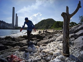 A volunteer collects the congealed palm oil which has been blanketing the shores of Hong Kong's Lamma Island, Tuesday, Aug. 8, 2017. Cleanup efforts are under way in Hong Kong after white blobs of congealed palm oil washed up on the city's shores following a collision between two ships. (AP Photo/Vincent Yu)