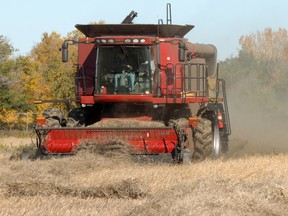 farmers pay dividends to family members who work on the farm, full-time or part-time, or who pitch in during busy seasons.