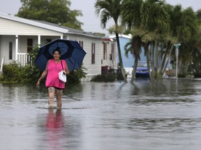 This June 7, 2017 file photo shows Peggy Wallace walking near her flooded neighborhood in Davie, Fla. With Hurricane Irma bearing down on Florida, an Associated Press analysis shows that the number of federal flood insurance policies written in the state has fallen by 15 percent. (AP Photo/Lynne Sladky, File)