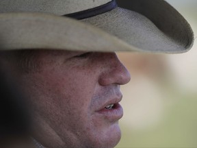 In this Friday, Sept. 22, 2017 photo, John Locke prepares to more a herd to another field at his family's ranch in Glen Flora, Texas. The damage Hurricane Harvey inflicted on Texas' cattle industry hasn't been calculated yet. But there's evidence that it might be less than initially feared and perhaps not as costly as Hurricane Ike.  (AP Photo/Eric Gay)