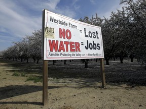 FILE - In this Feb. 25, 2016, file photo, a sign calling attention to the loss of jobs blamed on the lack of water is displayed near Lemoore, Calif. A spokesman for the U.S. Department of the Interior said Wednesday, Oct. 25, 2017, that the Trump administration will not support a giant California water project sought by Gov. Jerry Brown. (AP Photo/Rich Pedroncelli, File)
