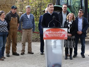 Minister of Finance Bill Morneau speaks during a tax reform announcement in Erinsville, Ont., Thursday Oct., 19, 2017. THE CANADIAN PRESS/Lars Hagberg