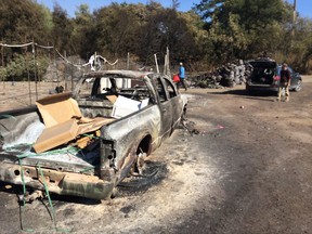 Marco Morales, left, and farm manager Micahel Hausmann fetch gasoline from a tank that surprisingly survived the fire at the large marijuana farm they operate in Glen Ellen, Calif. (AP Photo/Paul Elias)