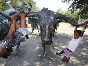 In this Thursday, Sept. 14, 2017 photo, Harvey evacuees sisters Jauajha Cane, 9, right, and Jayci Cane, 4, play on a bronze longhorn statue during a visit to Pioneer Plaza in downtown Dallas. Paige Cane evacuated with her family from Port Arthur, Texas, during flooding. A neighbor was the first to tell Cane that her landlord had posted an eviction notice on the door of her flooded apartment. Rental housing has been a concern in many cities in Texas and Florida after hurricanes Harvey and Irma flooded tens of thousands of homes. (AP Photo/LM Otero)