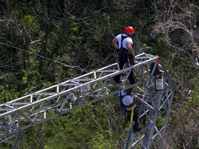 FEMA said in a statement that any language in the controversial contract saying the agency approved of the deal with Whitefish Energy Holdings is inaccurate. (AP Photo/Ramon Espinosa, File)