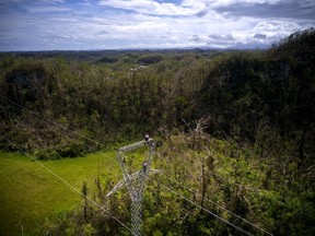 FILE - In this Oct. 15, 2017, file photo, Whitefish Energy Holdings workers stand on towers to restore lines damaged by Hurricane Maria in Barceloneta, Puerto Rico. The Trump administration said Oct. 27 it had no involvement in the decision to award a $300 million contract to help restore Puerto Rico's power grid to a tiny Montana company in Interior Secretary Ryan Zinke's hometown. White House spokesman Raj Shah said that federal officials played no role in the selection of Whitefish Energy Holdings by the Puerto Rico Electric Power Authority.(AP Photo/Ramon Espinosa, File)