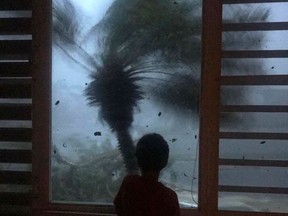 A young boy looks out the window as strong winds brought on by Hurricane Maria bend a palm tree and send debris flying