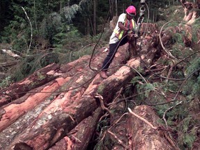 Western Forest Products is shutting down its Englewood line after transporting logs by train for 100 years on northern Vancouver Island.