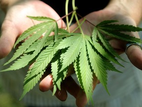 Cannabis could shake up the large beer companies in the same manner that smaller, independent brewers did over the past 20 years, says a former beer executive.