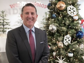 FILE - In this Tuesday, Oct. 25, 2016, file photo, Target Chairman and CEO Brian Cornell poses with a Christmas tree during a media presentation in New York. Cornell says he's optimistic about the 2017 holiday season and consumer confidence, and still sees lots of opportunities in retail. (AP Photo/Mark Lennihan, File)