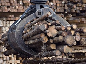 The Canadian government says it will continue to defend the lumber industry against protectionist trade measures.