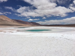 Battery makers are depending on Argentina’s high-altitude salt flats as a key new supply of lithium.