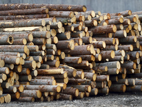 Most Canadian forestry companies will pay a combined 20.83 per cent duty and anti-dumping tariff to sell their products into the U.S.