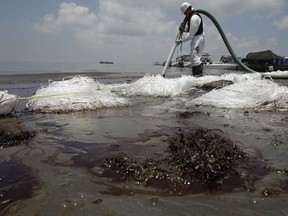FILE - In this June 9, 2010 file photo, a worker uses a suction hose to remove oil washed ashore from the Deepwater Horizon spill, in Belle Terre, La. The Trump administration has halted an independent scientific study of offshore oil inspections by the federal safety agency created after the 2010 spill in the Gulf of Mexico. The National Academies of Sciences, Engineering and Medicine was told to cease review of the inspection program conducted by the federal Bureau of Safety and Environmental Enforcement. Established following the massive BP spill, the bureau was assigned the role of improving offshore safety inspections and federal oversight.