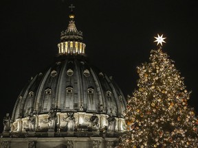 A 21 meters (69 feet) high Christmas tree coming from Poland is backdropped by the dome of St. Peter's Basilica, at the Vatican, Thursday, Dec. 7, 2017.