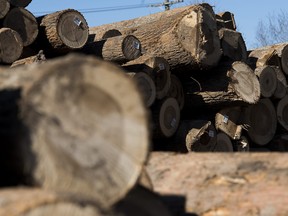 The United States International Trade Commission has unanimously voted that the American lumber industry has been harmed by Canadian softwood lumber imports.