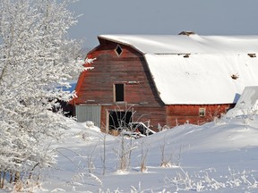 The very existence of each farm tells a story of toil and struggle and community. And, if they are around today, they have survived more than a few Canadian winters.