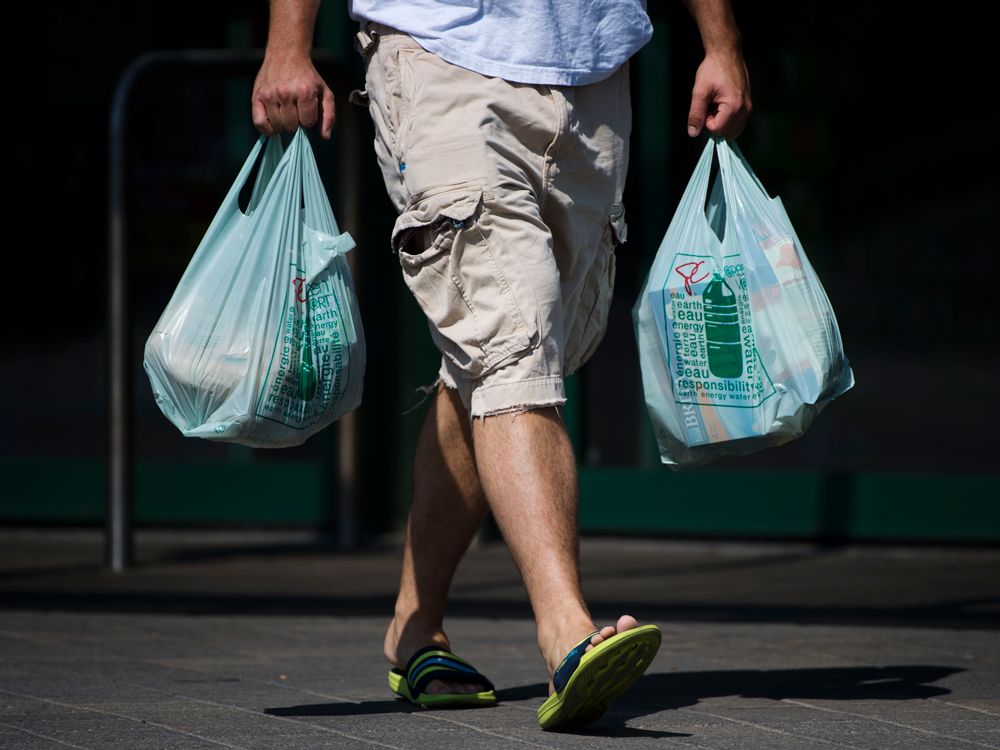 Will Banning Plastic Bags Actually Save the Planet? - Displayr