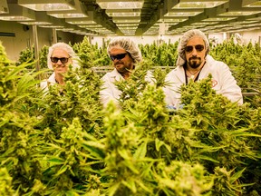 Members of The Tragically Hip, including Johnny Fay, Paul Langlois and Rob Baker (left to right) at Newstrike's Up Cannabis grow room in Brantford, Ontario.