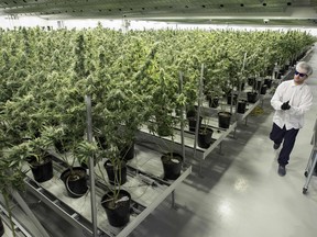 Marijuana companies say the higher provincial pay rate is driving up the cost to produce and sell cannabis products.
