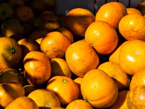 Freshly picked oranges sit in a bin at an orange grove in Winter Garden, Florida. Orange juice fell 33% in 2017.