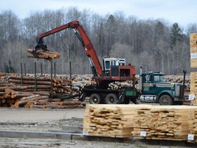Logs are unloaded at Murray Brothers Lumber Company woodlot in Madawaska, Ontario on Tuesday, April 25, 2017. Canada has launched a wide-ranging attack against U.S. trade practices in a broad international complaint over American use of punitive duties.